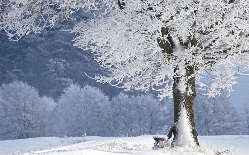星露谷物语下载 星露谷物语冬季雪景像素画面，白雪覆盖的农场小路与结冰池塘，远处木屋烟囱冒着白烟，色调清冷安静